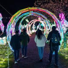 Illuminature @ Fresno Chaffe Zoo Illuminature @ Fresno Chaffe Zoo