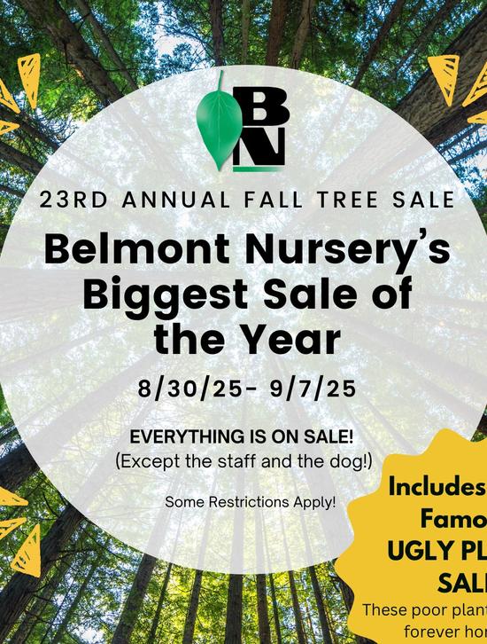 It's the Annual Tree Sale @ Belmont Nursery!