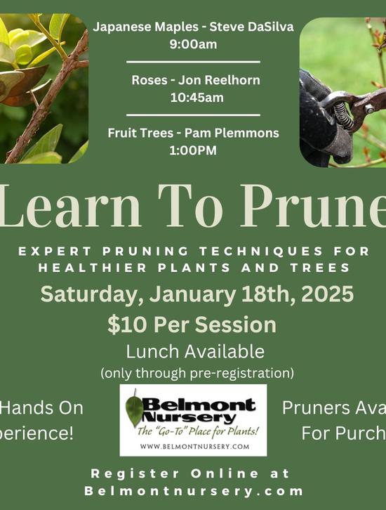 Learn to Prune