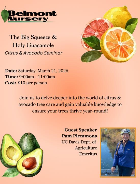 All About Citrus and Avocados!