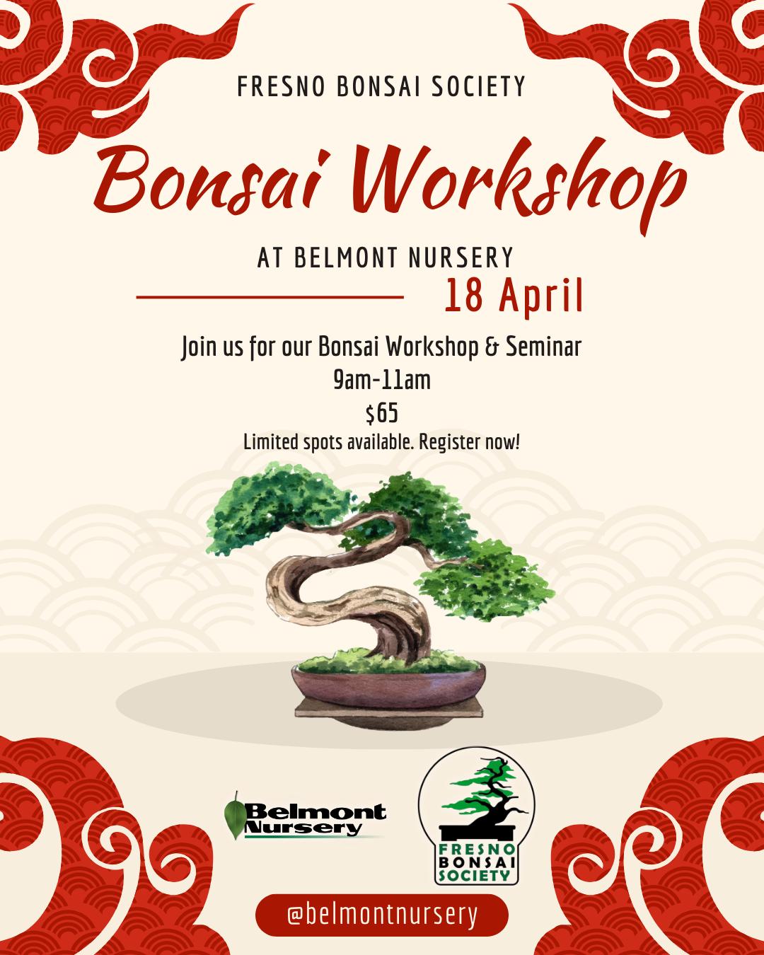 Spring Bonsai Workshop