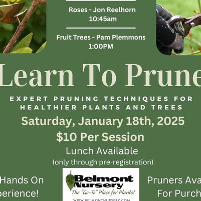 Learn To Prune 2025