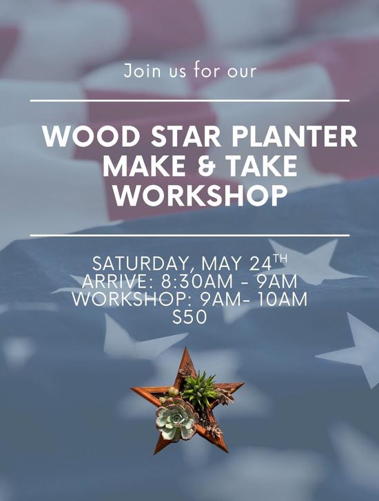 Wood Star Planter: Make & Take Workshop