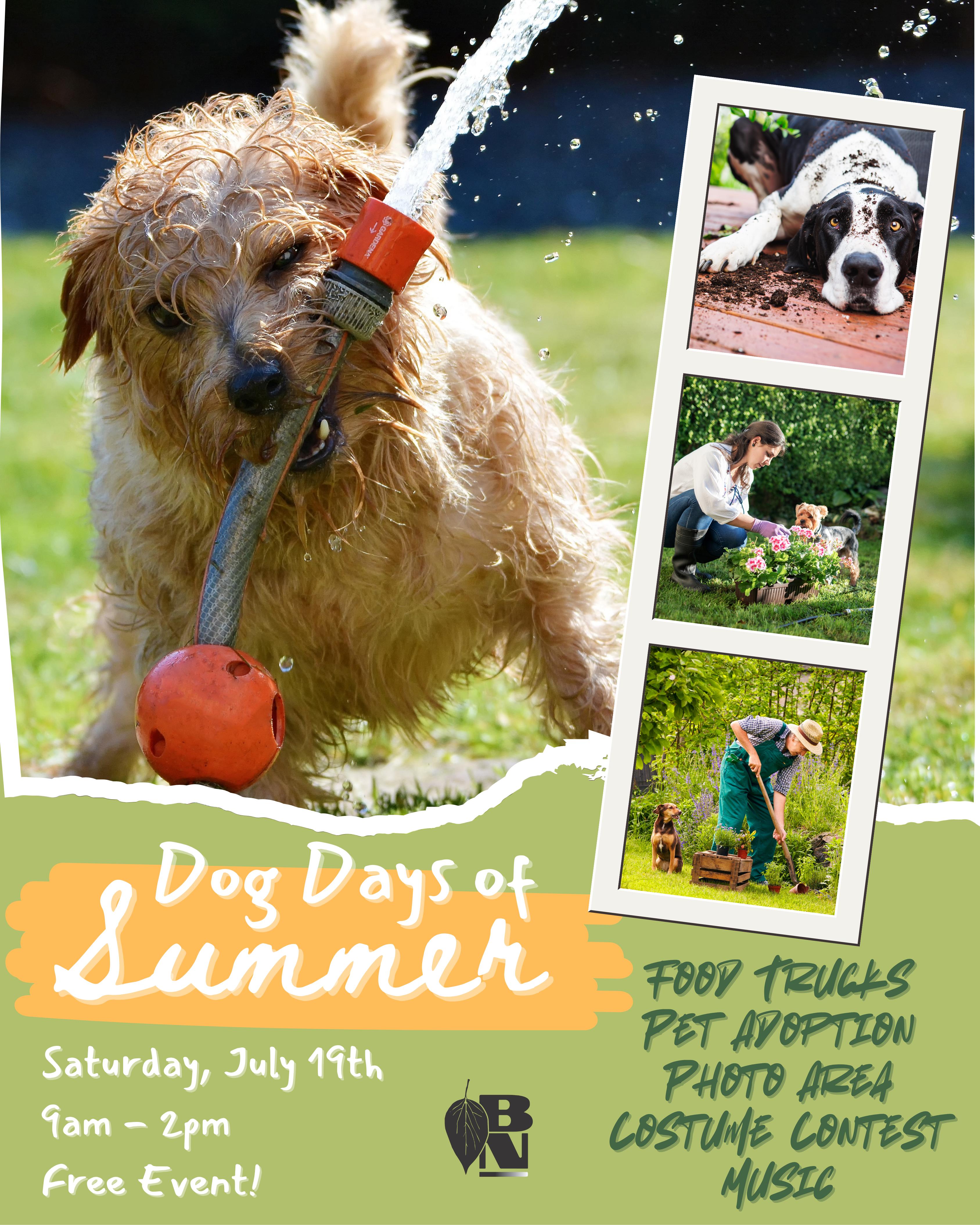 Dog Days of Summer
