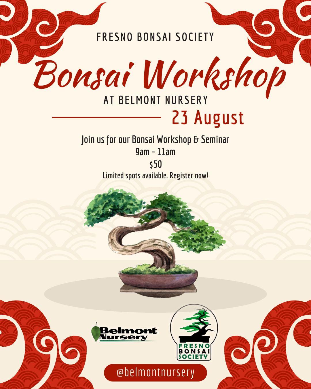 Bonsai Workshop