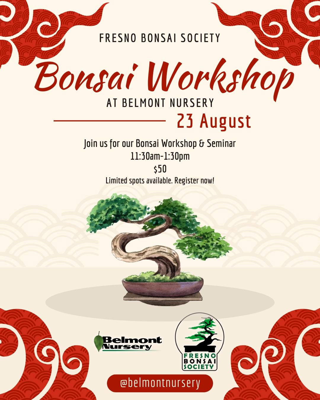 Bonsai Workshop #2 