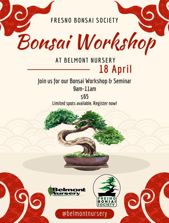 Bonsai Workshop