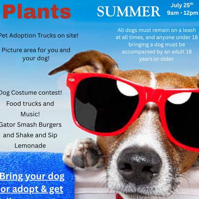 Dog Days of Summer at Belmont Nursery