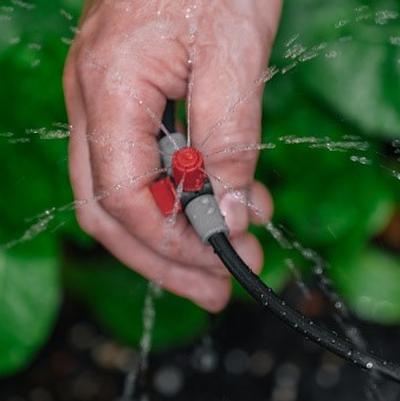 Drip vs. Sprinkler Irrigation: A Guide for Home Gardeners