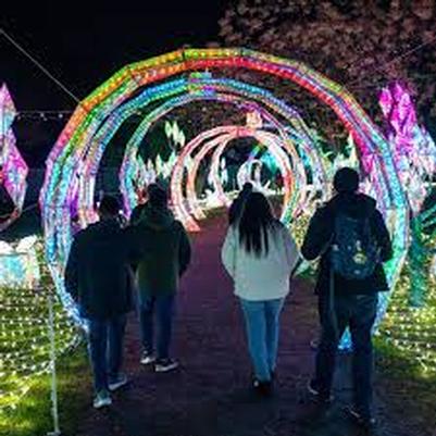 Illuminature @ Fresno Chaffe Zoo