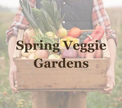 Spring Veggie Gardens