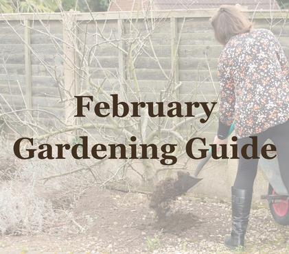 February Gardening Guide