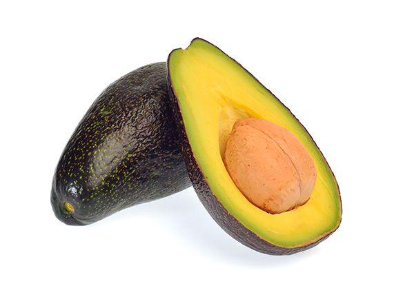 Avocado Mexicola (A)