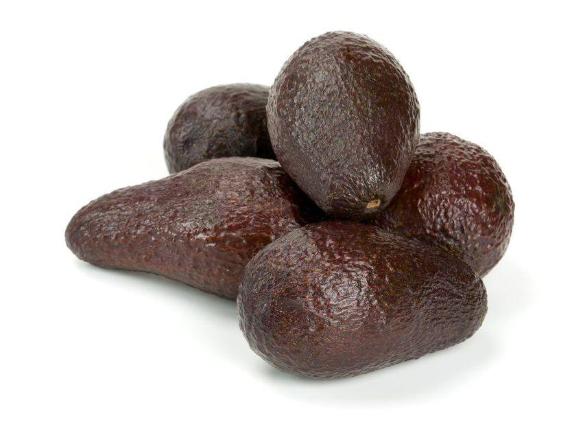 Avocado Mexicola Grande (A)