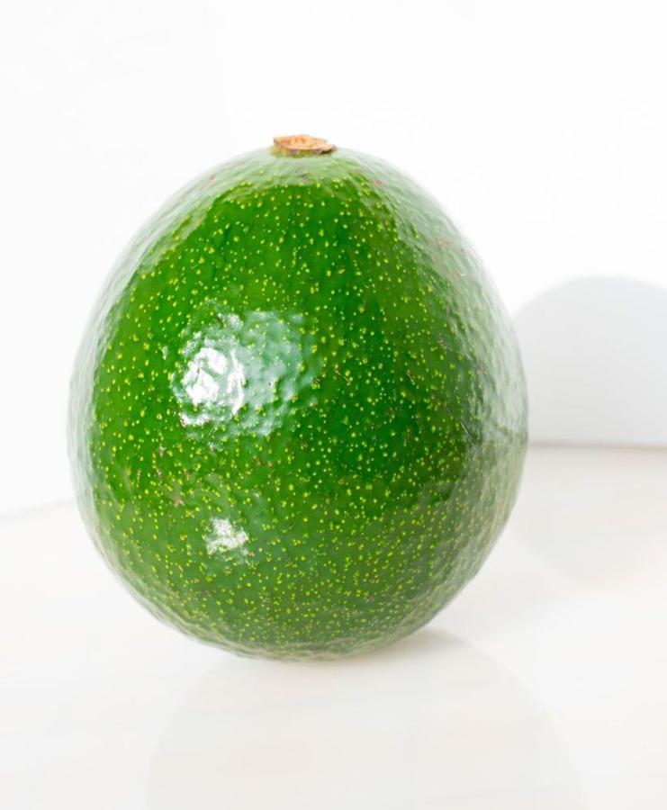 Avocado Reed (A)