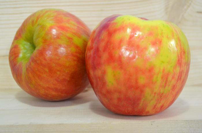 Apple Honeycrisp