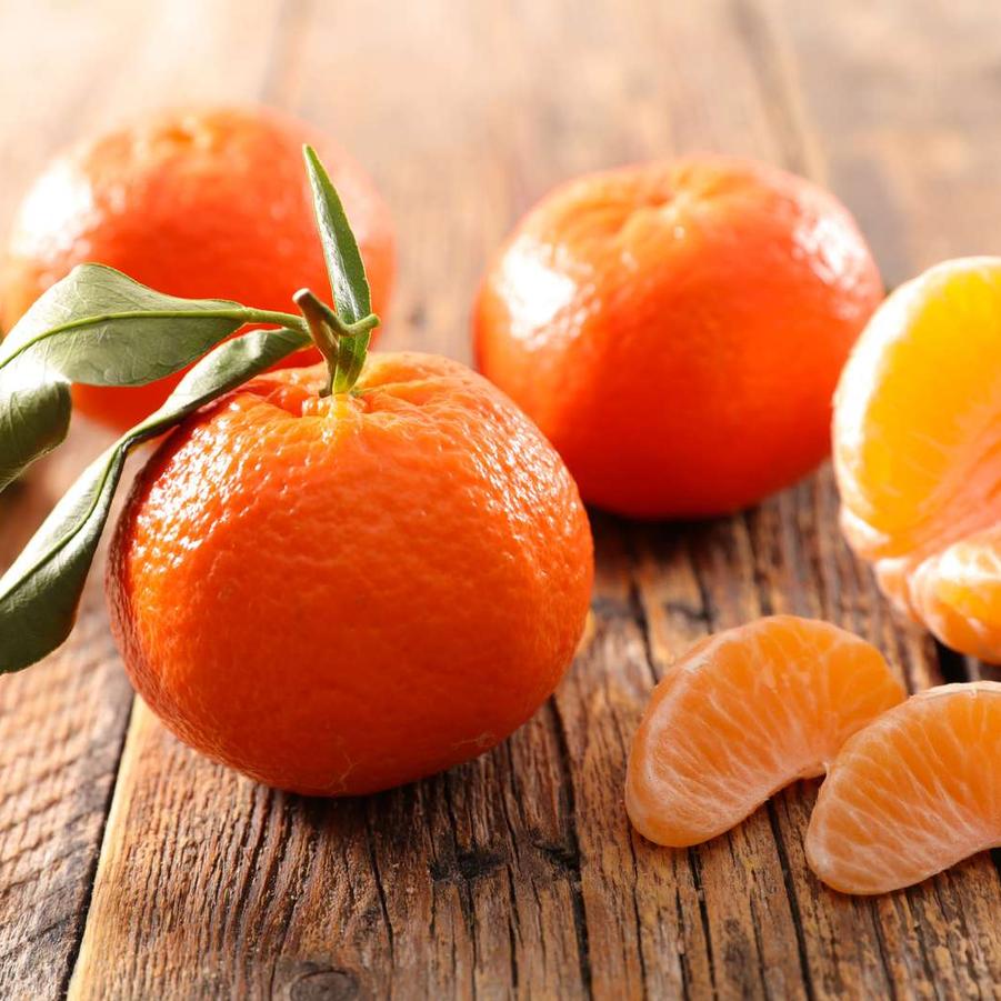 Mandarin Clementine