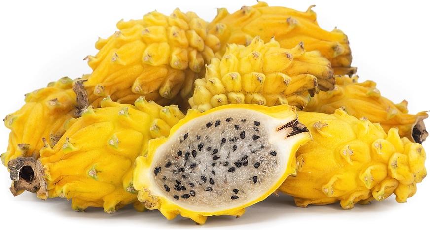 Dragon Fruit Golden