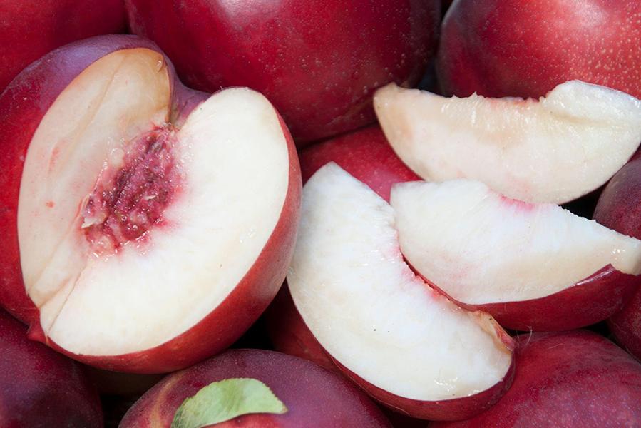 Nectarine Atomic Red