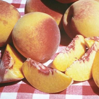 Peach Elberta