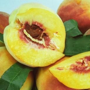 Peach Garden Gold
