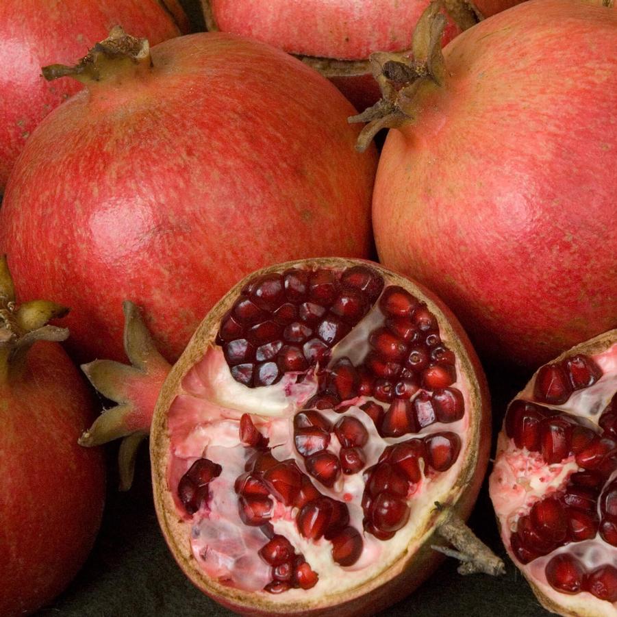 Pomegranate Wonderful