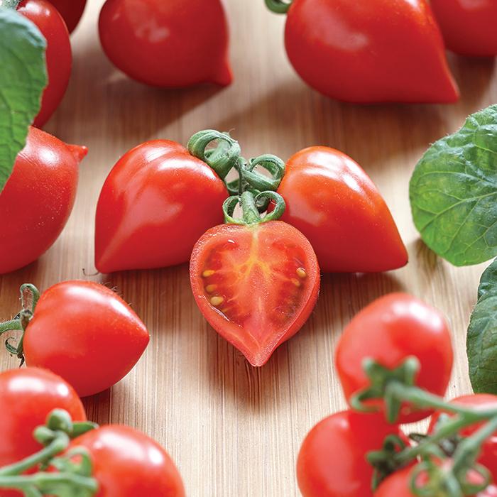 Tomato Heartbreaker