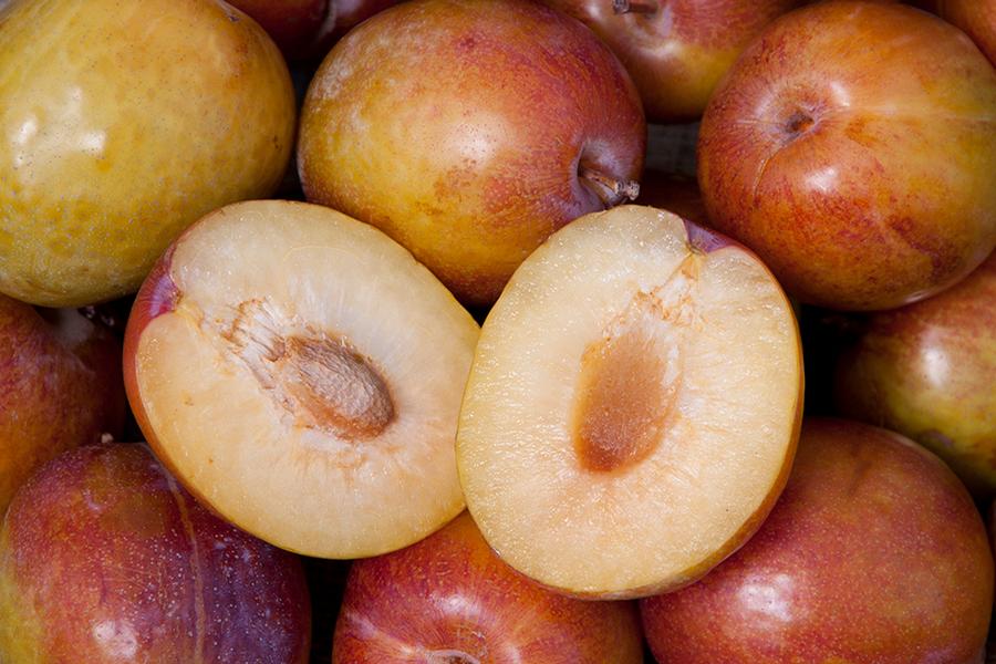Pluot Flavor Grenade