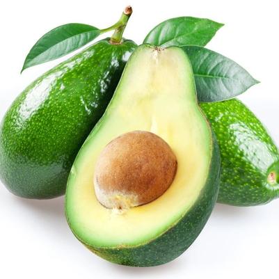 Avocado Fuerte (B)