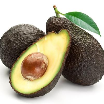 Avocado Hass (A)
