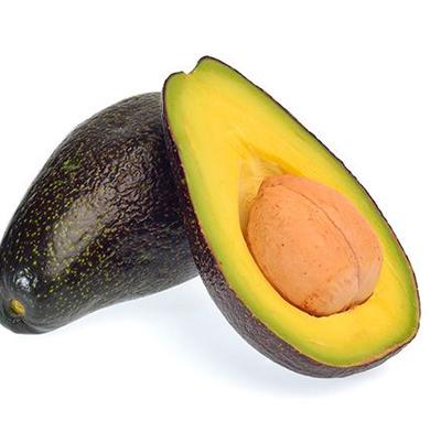 Avocado Mexicola (A)