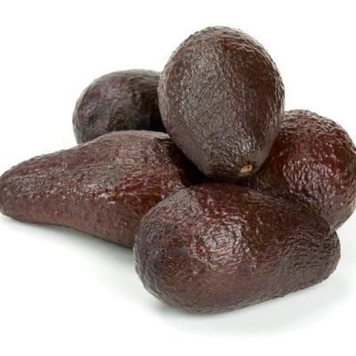 Avocado Mexicola Grande (A)