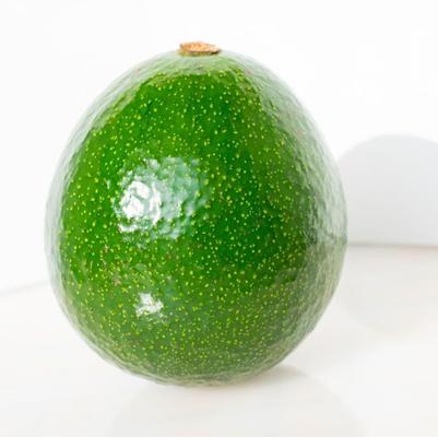 Avocado Reed (A)