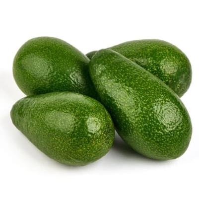 Avocado Zutano (B)