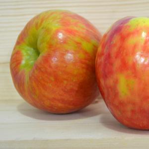 Apple Honeycrisp