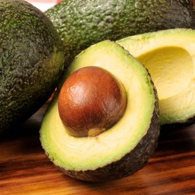 Avocado Holiday