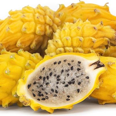Dragon Fruit Golden