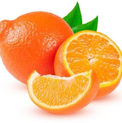 Tangelo Minneola