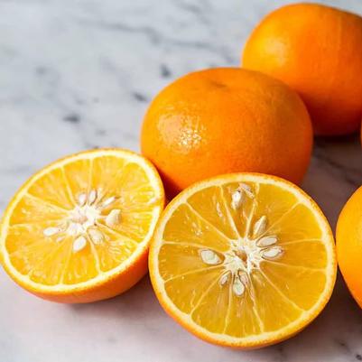 Orange Seville Sour