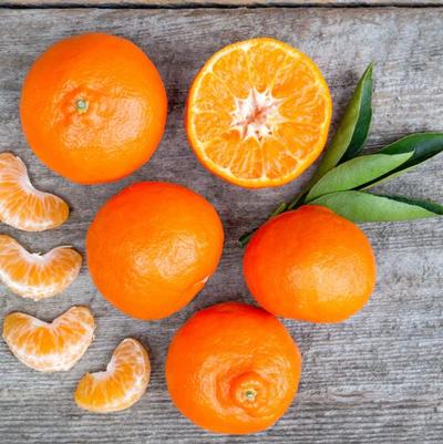 Tangerine Dancy