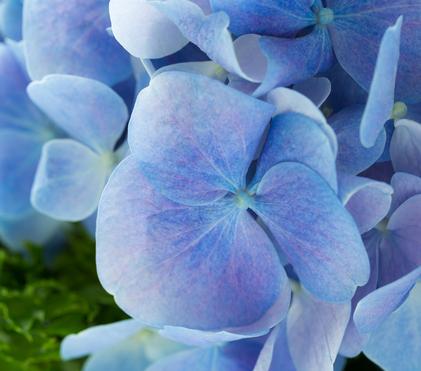 Autumn Memories Autumn Memories