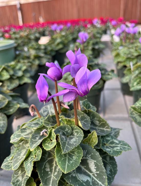 New for fall 2025 New for fall 2025